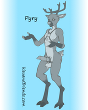 Load image into Gallery viewer, Pyry