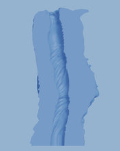 Load image into Gallery viewer, Taiga